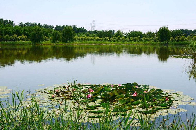 漢石橋濕地.png