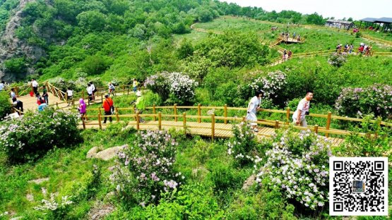 野三坡白草畔景區(qū)團(tuán)隊(duì)拓展訓(xùn)練基地